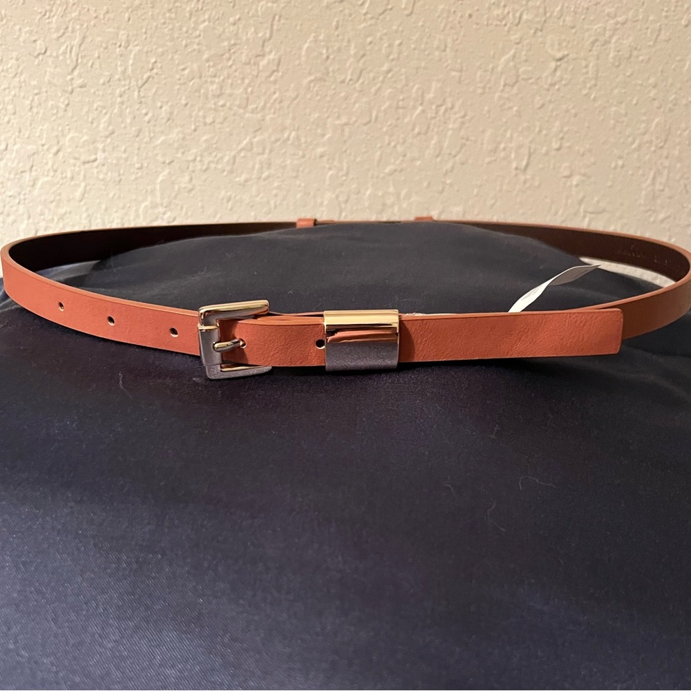 The Limited Brown/Gold Skinny Belt